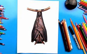 Image result for Bat Images for Kids