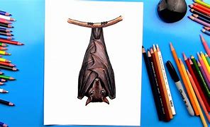 Image result for How to Draw a Bat for Halloween