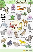 Image result for Different Animals