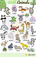 Image result for Pictures That You Never Seen Before Animals with Names