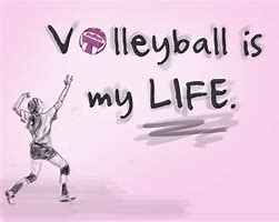 Image result for Cool Volleyball Sayings