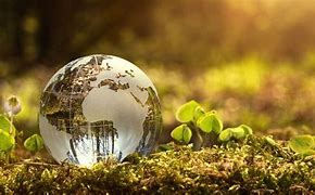 Image result for Sustainable It
