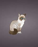 Image result for Tard the Grumpy Cat Meme