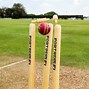 Image result for Cricket Equipment All in One Photo