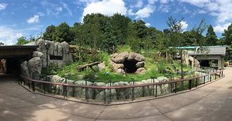 Image result for Panda Enclosure