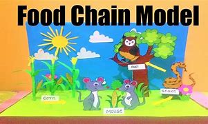 Image result for Hedgehog Food Chain