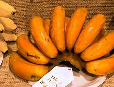 Image result for orange bananas hybrids