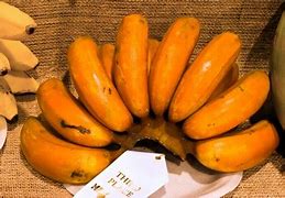 Image result for orange bananas hybrids