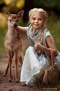 Image result for Four Animals
