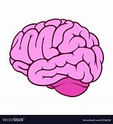 Image result for Pink Brain Wallpaper