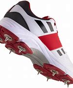 Image result for Cricket Studs Shoes