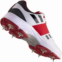 Image result for Gray Nicolls Cricket Shoes