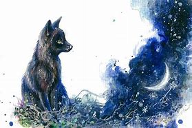 Image result for Black Fox Art