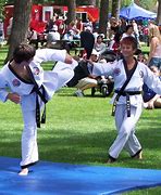 Image result for martial arts styles