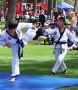 Image result for Martial Arts Sports