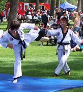 Image result for Martial Arts Forms