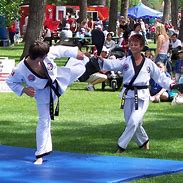 Image result for Martial Arts Woman