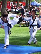Image result for List of Asian Martial Arts
