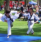 Image result for Martial Arts From around the World
