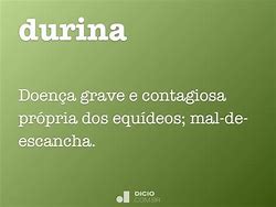 Image result for durina