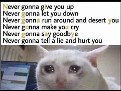 Image result for Normal to Crying Meme