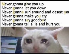 Image result for Crying Cat Xbox Meme