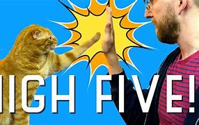 Image result for Jim and Pam High Five Meme