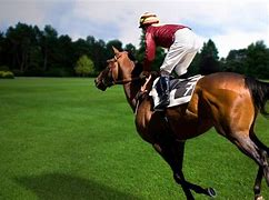 Image result for Laptop Wallpaper Horse Racing
