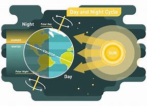 Image result for days night cycles