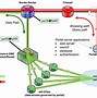 Image result for 4G LTE Network Architecture