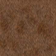 Image result for Rabbit Fur Texture