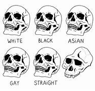 Image result for Skull Comparison Meme