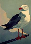 Image result for Seagull Illustration