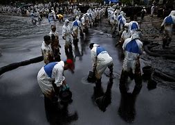 Image result for Oil Spill Clean Up