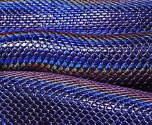 Image result for Iridescent Snake Scales