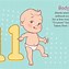 Image result for First 12 Month Picture Book
