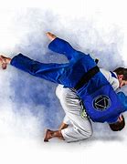 Image result for Brazilian Jiu Jitsu Kick