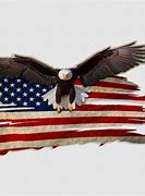 Image result for Bald Eagle with American Flag Decal