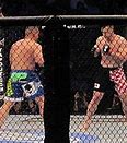 Image result for Fighting Styles in MMA