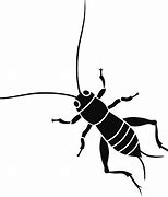 Image result for cricket insect vector