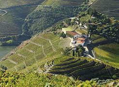 Image result for Quinta do Crasto Douro W Explorer Series