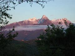 Image result for Aglieta Pomo Toscana