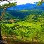 Image result for Ric E Terrace Mountain