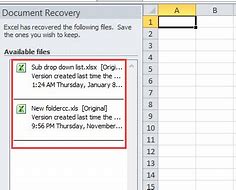 Image result for Excel Document Recovery Box