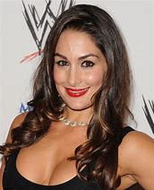 Image result for WWE Nikki Bella Photos