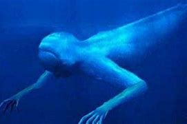 Image result for Real Mermaid Footage