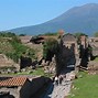 Image result for Pompeii Vineyard