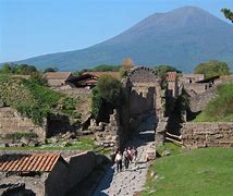 Image result for Pompeii Vineyard Remains