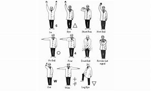 Image result for Cricket Umpire Signs