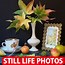 Image result for Beautiful Still Life